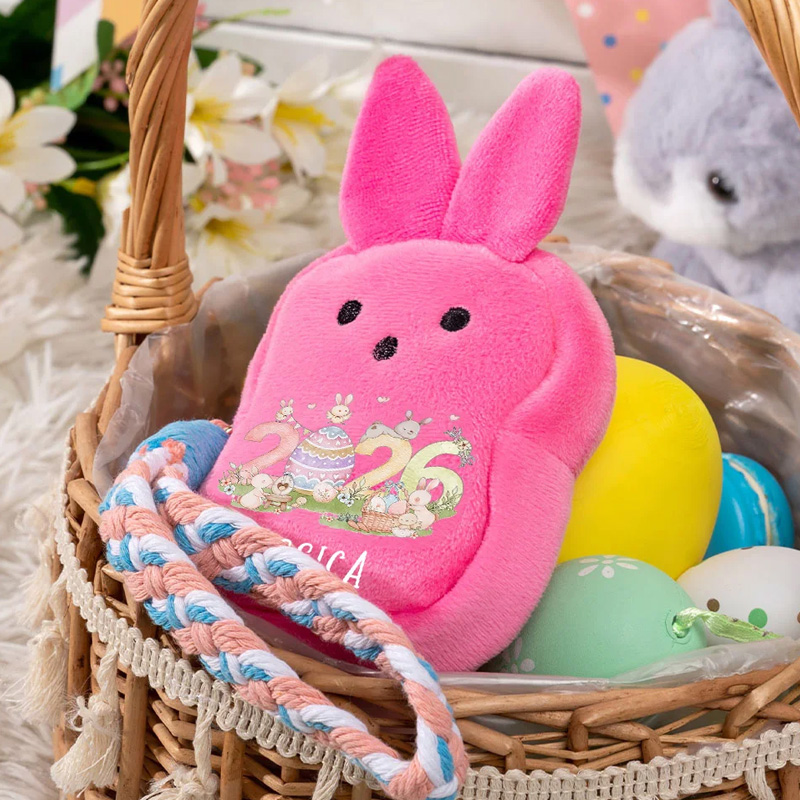 Personalized 2026 Easter Eggs Colorful Bunny Plush Wallet Coin Purse with Name Birthday Back to School Easter Gift for Kids