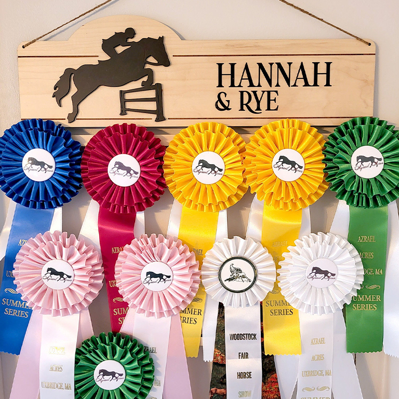 Personalized Equestrian Ribbon Display Rack with Name Horse Show Ribbon Holder Wall-Mounted Award Rack Gift for Horse Lover Rider