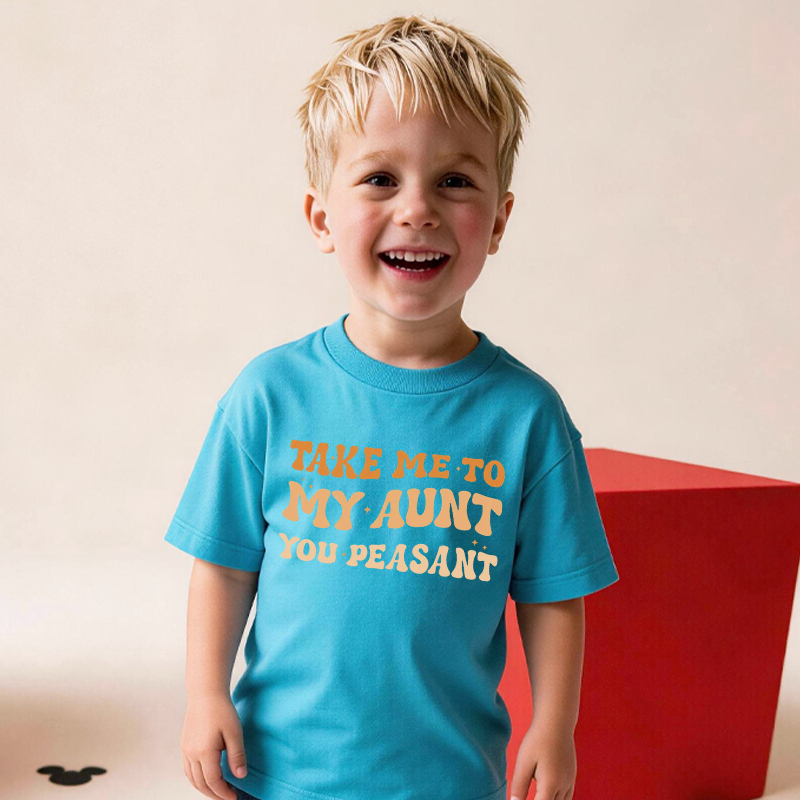 Take Me To My Aun Toddler Pullover T-Shirt Funny Vintage Kids Natural T-Shirt Minimalist I Love My Aunt Natural Toddler Tee
