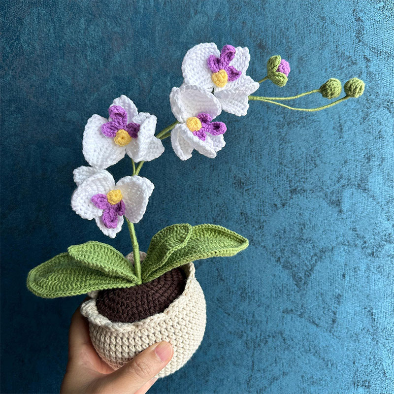 Mothers Day Gift Handmade Knitted Flower Pot Crochet Butterfly Orchid Plant Gift for Mom Grandma Mother's Day Gifts
