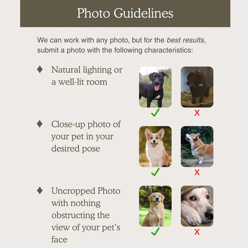 Personalized Pet Photo Blanket Custom Dog Portrait Blanket Pet Memorial Gift Cat Picture Blanket