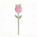Tulip 1