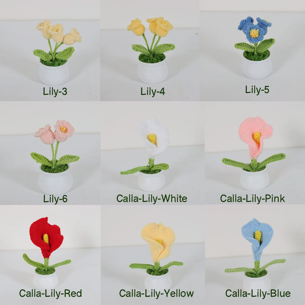 Personalized Crochet Flower in Pot Handmade Gift for Her Personalized Gift for Teacher Home Decoration Desk Decoration Crochet Rose in Pot