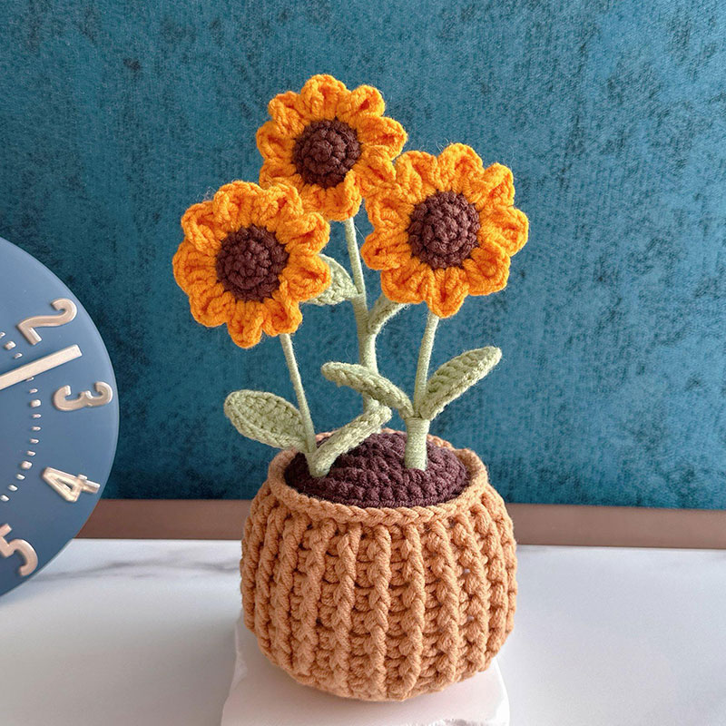 Mothers Day Gift Handmade Knitted Flower Pot Crochet Butterfly Orchid Plant Gift for Mom Grandma Mother's Day Gifts
