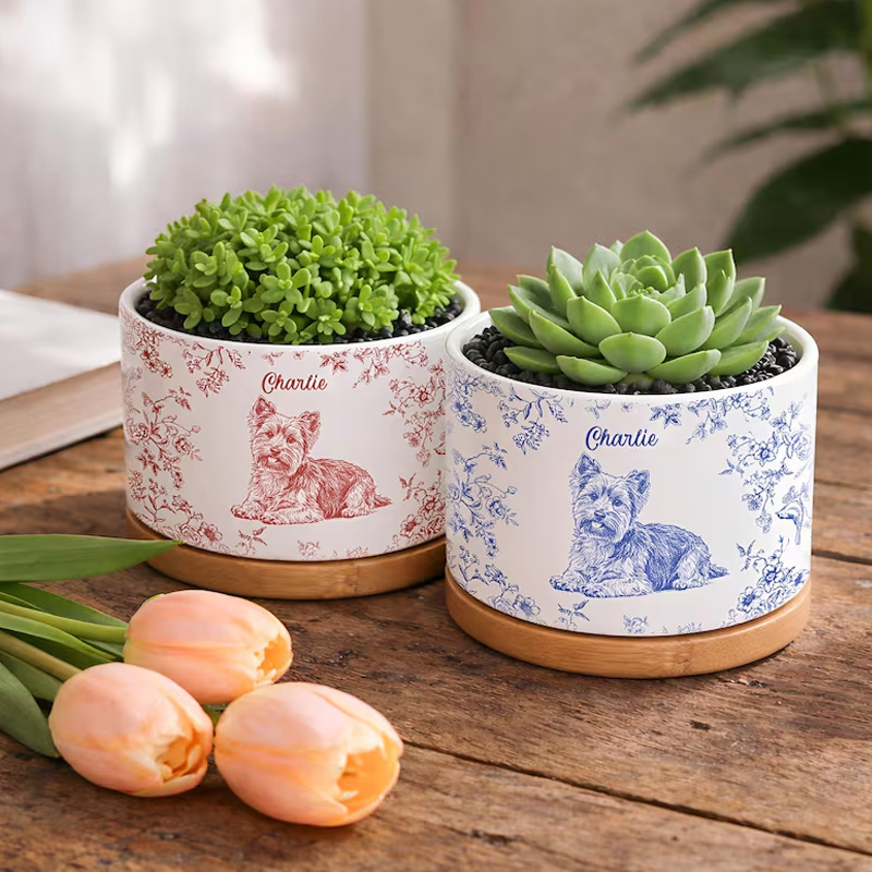 Personalized Pet Portrait Planter Pet Succulent Planter Pet Home Decor Dog Memorial Dog Remembrance Gift Personalized Gift Gift for Her