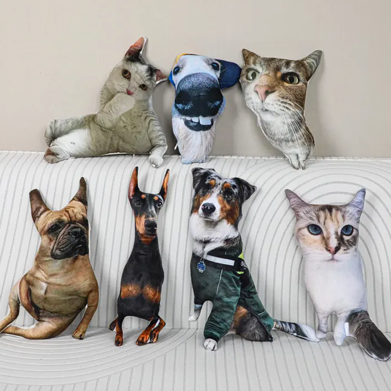 Personalized Ugly Pillow Custom Ugly Pillow for Friend or Pet Hot Ugly Cat Pet Pillow Gift for Friend Valentines Body Pillow Custom Pillow