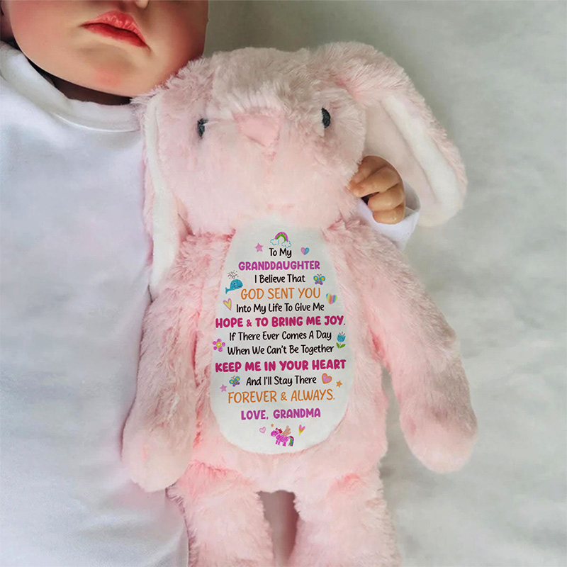 Personalized God Sent You into My Life to Give Me Hope and Joy Cute Rabbit Plush Stuffed Animal Toy with Title Granddaughter Gift from Grandma