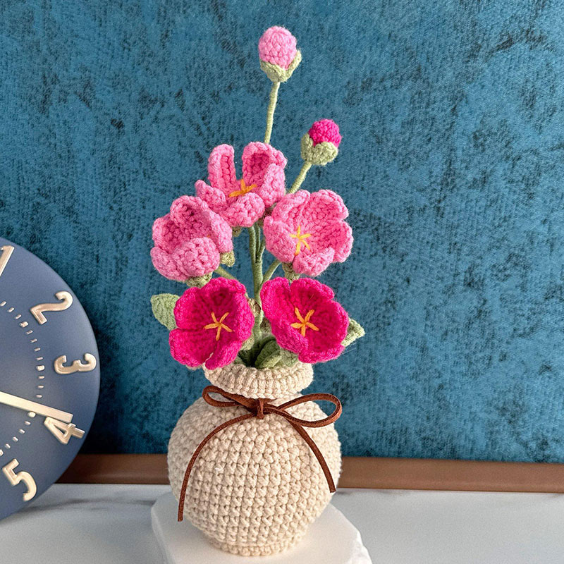 Mothers Day Gift Handmade Knitted Flower Pot Crochet Butterfly Orchid Plant Gift for Mom Grandma Mother's Day Gifts