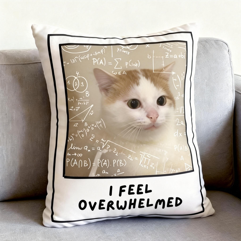 Personalized Autism Communication Pillow Non Verbal Aid for Sensory Issues Meltdowns Adhd Emotional Support 
