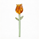 Tulip 5