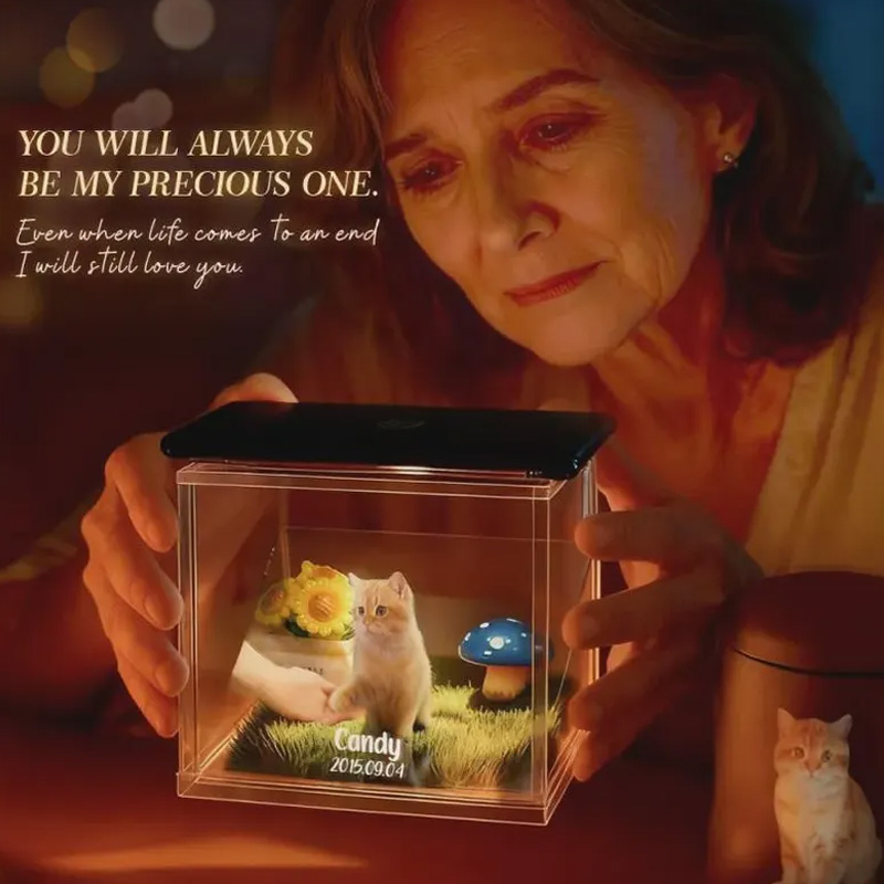 Personalized Pet Holographic Digital House with Name and Dates Custom Memorial Acrylic Light Display Pet Lover Gifts