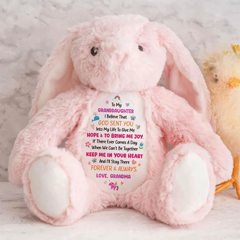 Personalized God Sent You into My Life to Give Me Hope and Joy Cute Rabbit Plush Stuffed Animal Toy with Title Granddaughter Gift from Grandma