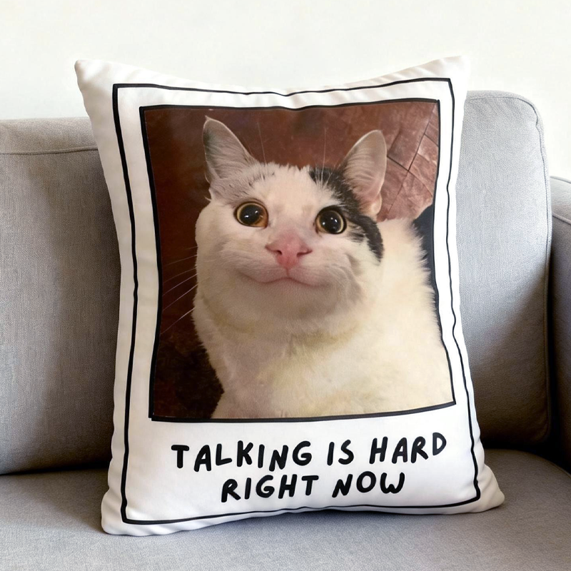 Personalized Autism Communication Pillow Non Verbal Aid for Sensory Issues Meltdowns Adhd Emotional Support 