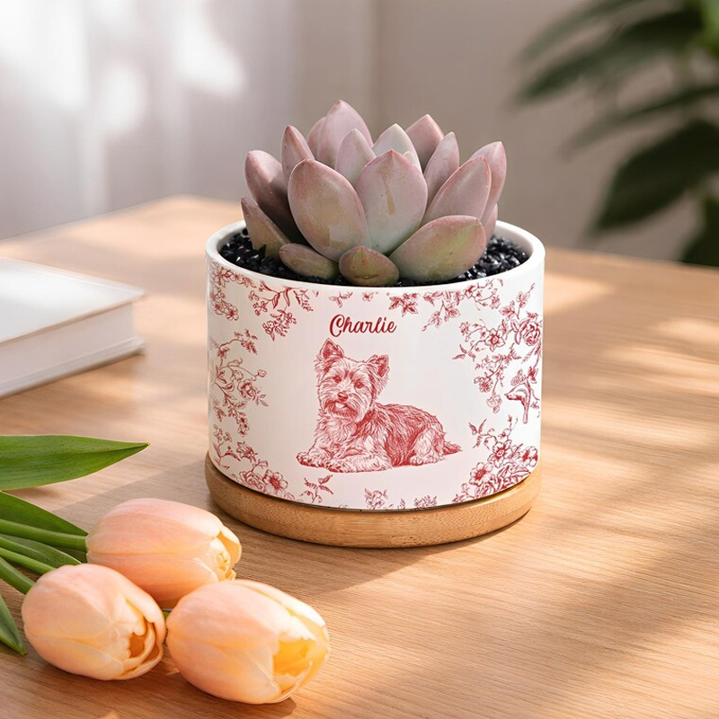 Personalized Pet Portrait Planter Pet Succulent Planter Pet Home Decor Dog Memorial Dog Remembrance Gift Personalized Gift Gift for Her