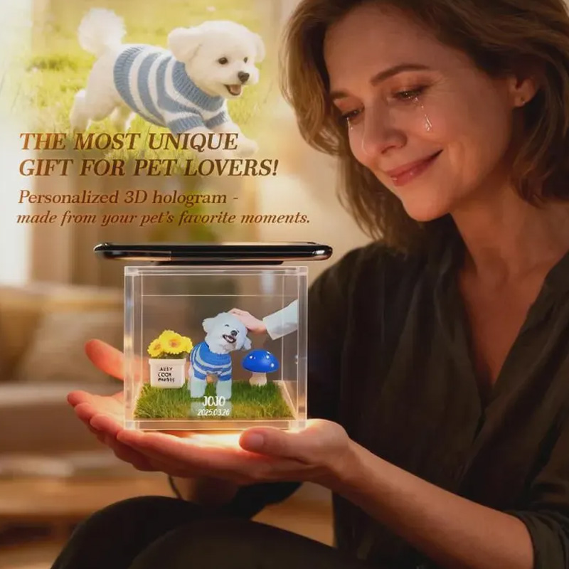 Personalized Pet Holographic Digital House with Name and Dates Custom Memorial Acrylic Light Display Pet Lover Gifts