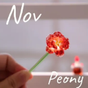 Nov