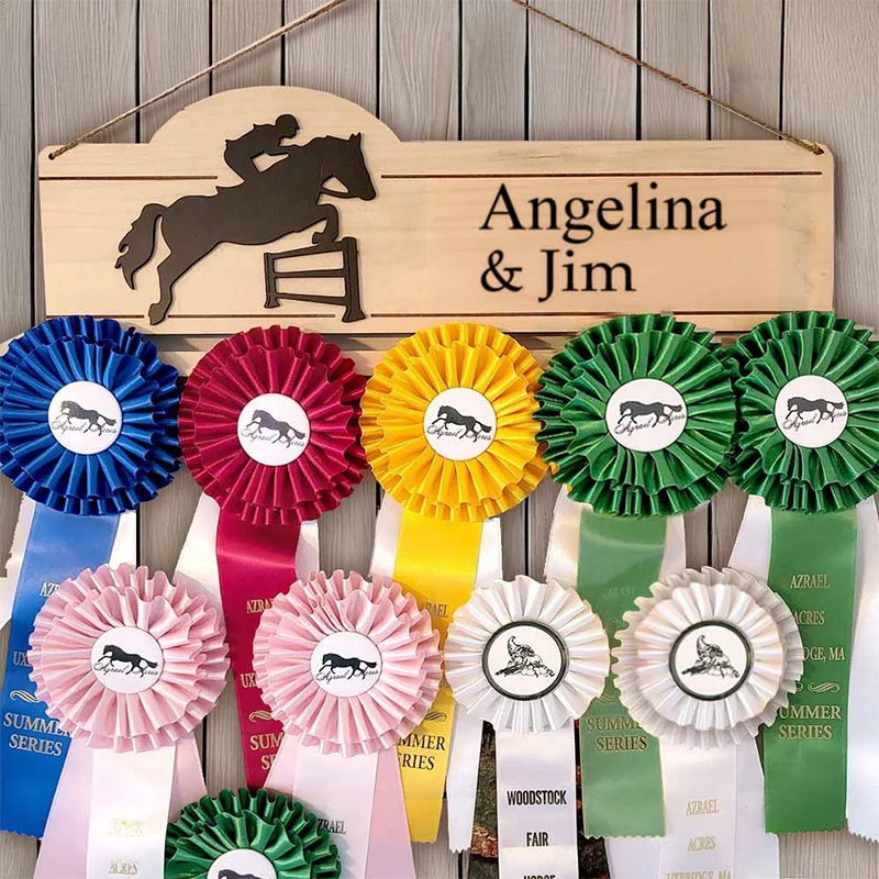 Personalized Equestrian Ribbon Display Rack with Name Horse Show Ribbon Holder Wall-Mounted Award Rack Gift for Horse Lover Rider