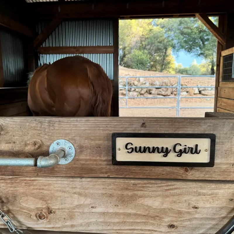 Personalized Horse Stall Name Sign Custom Wooden Stable Sign with Horseshoe and Horse Head for Equestrian Lovers