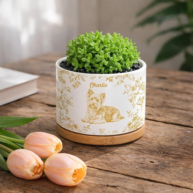 Personalized Pet Portrait Planter Pet Succulent Planter Pet Home Decor Dog Memorial Dog Remembrance Gift Personalized Gift Gift for Her