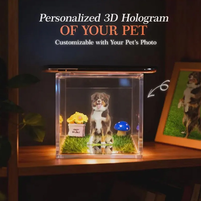 Personalized Pet Holographic Digital House with Name and Dates Custom Memorial Acrylic Light Display Pet Lover Gifts