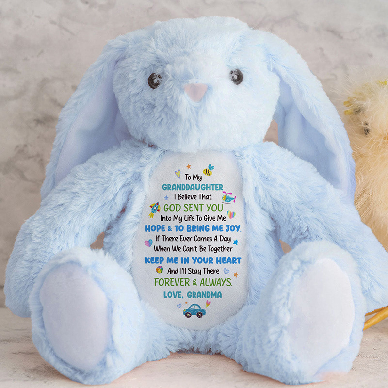 Personalized God Sent You into My Life to Give Me Hope and Joy Cute Rabbit Plush Stuffed Animal Toy with Title Granddaughter Gift from Grandma