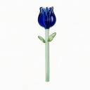Tulip 7