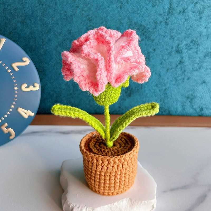 Mothers Day Gift Handmade Knitted Flower Pot Crochet Butterfly Orchid Plant Gift for Mom Grandma Mother's Day Gifts