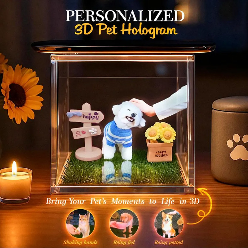 Personalized Pet Holographic Digital House with Name and Dates Custom Memorial Acrylic Light Display Pet Lover Gifts