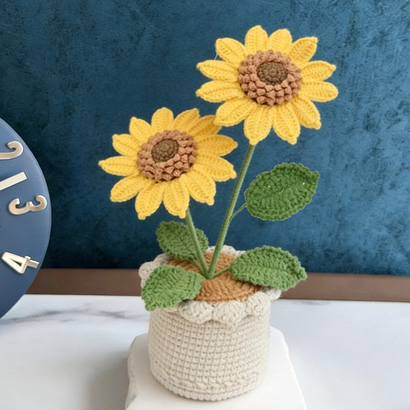 Mothers Day Gift Handmade Knitted Flower Pot Crochet Butterfly Orchid Plant Gift for Mom Grandma Mother's Day Gifts