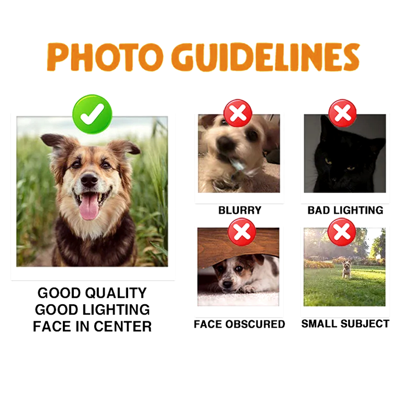 Personalized Bone Shape Photo Design Pet Name Tag with Engraved Text Daily Use Birthday Gift for Dog Owners