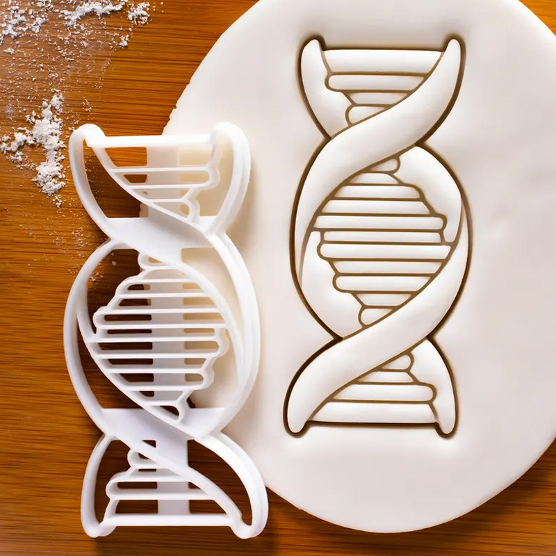 Personalized DNA Cookie Cutter 3D Printed Microbiology Genetics Science Baking Supplies Fondant Tool Craft Stamp for Geek Lover