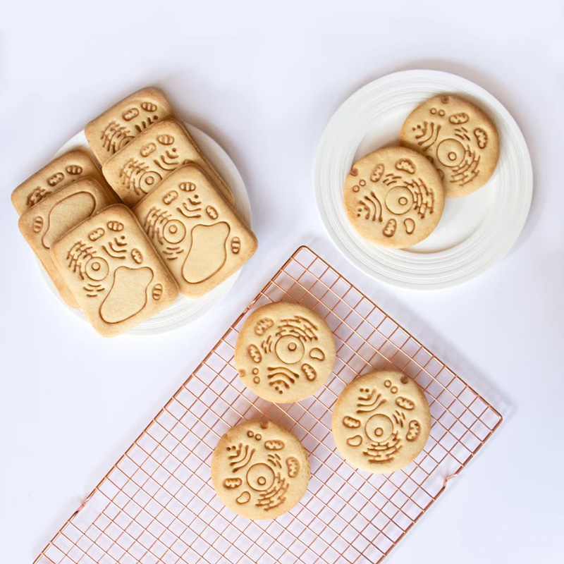 Personalized Human Cell Cookie Cutter 3D Printed Biology Shape Geeky Baking Supplies Fondant Tool Craft Stamp for Geek Lover