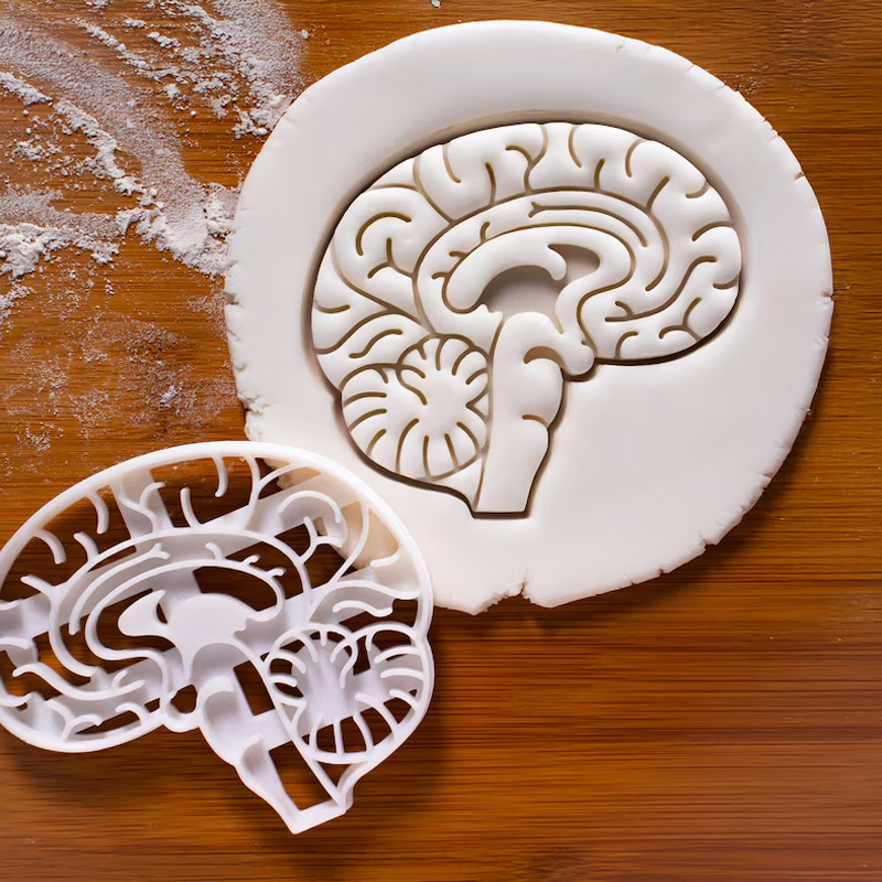 Personalized Science Anatomical Brain Cookie Cutter 3D Printed Baking Tool Craft Stamp for Geek Lover