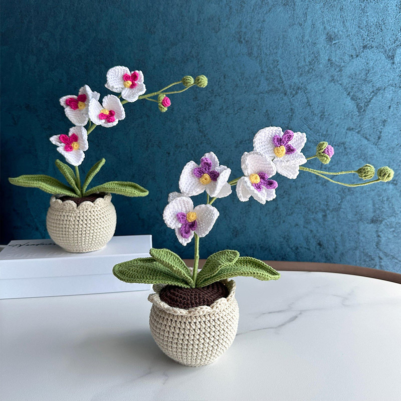 Mothers Day Gift Handmade Knitted Flower Pot Crochet Butterfly Orchid Plant Gift for Mom Grandma Mother's Day Gifts