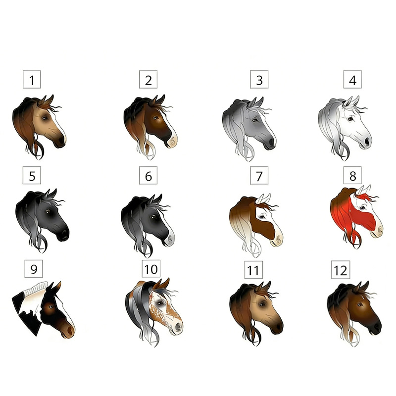 Personalized Horse Design Snaffle Bits Show Jumping Horse Insulated Bottle Pony Owners Thermal Flask Water Bottle for Equestrain Lovers