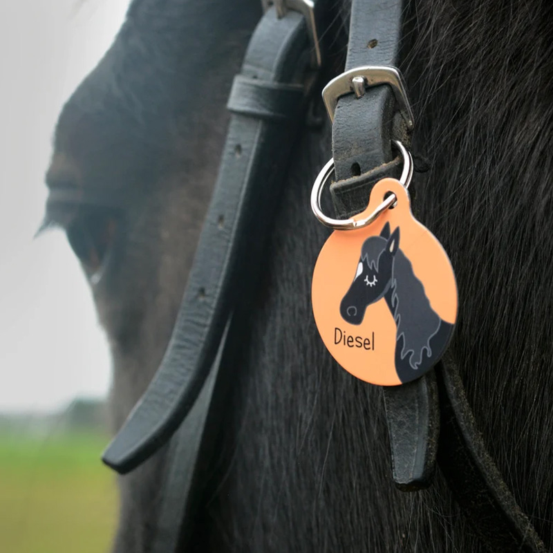 Personalized Horse Bridle ID Tag Equine Charm Aluminium Gift for Equestrain Lovers