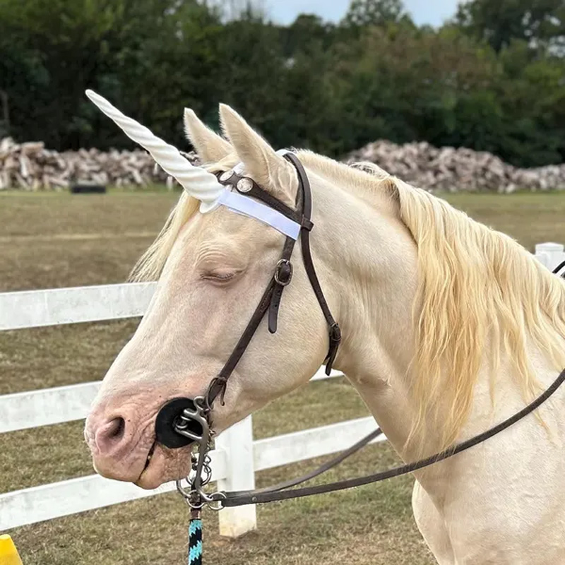 3D Print Equine Unicorn Horns Gift for Equestrain Lovers