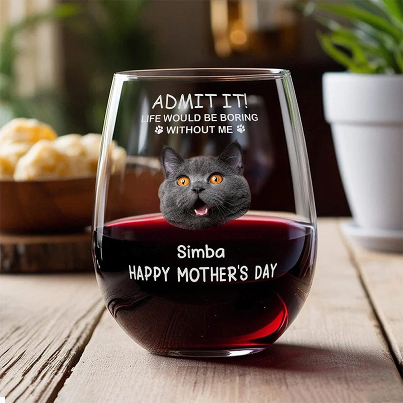 Personalized "Life Would Be Boring Without Me" Pet Photo Life Wine Glass 16oz Wine Glass Gift for Pet Lover