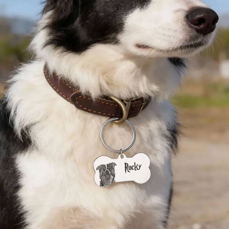 Personalized Bone Shape Photo Design Pet Name Tag with Engraved Text Daily Use Birthday Gift for Dog Owners