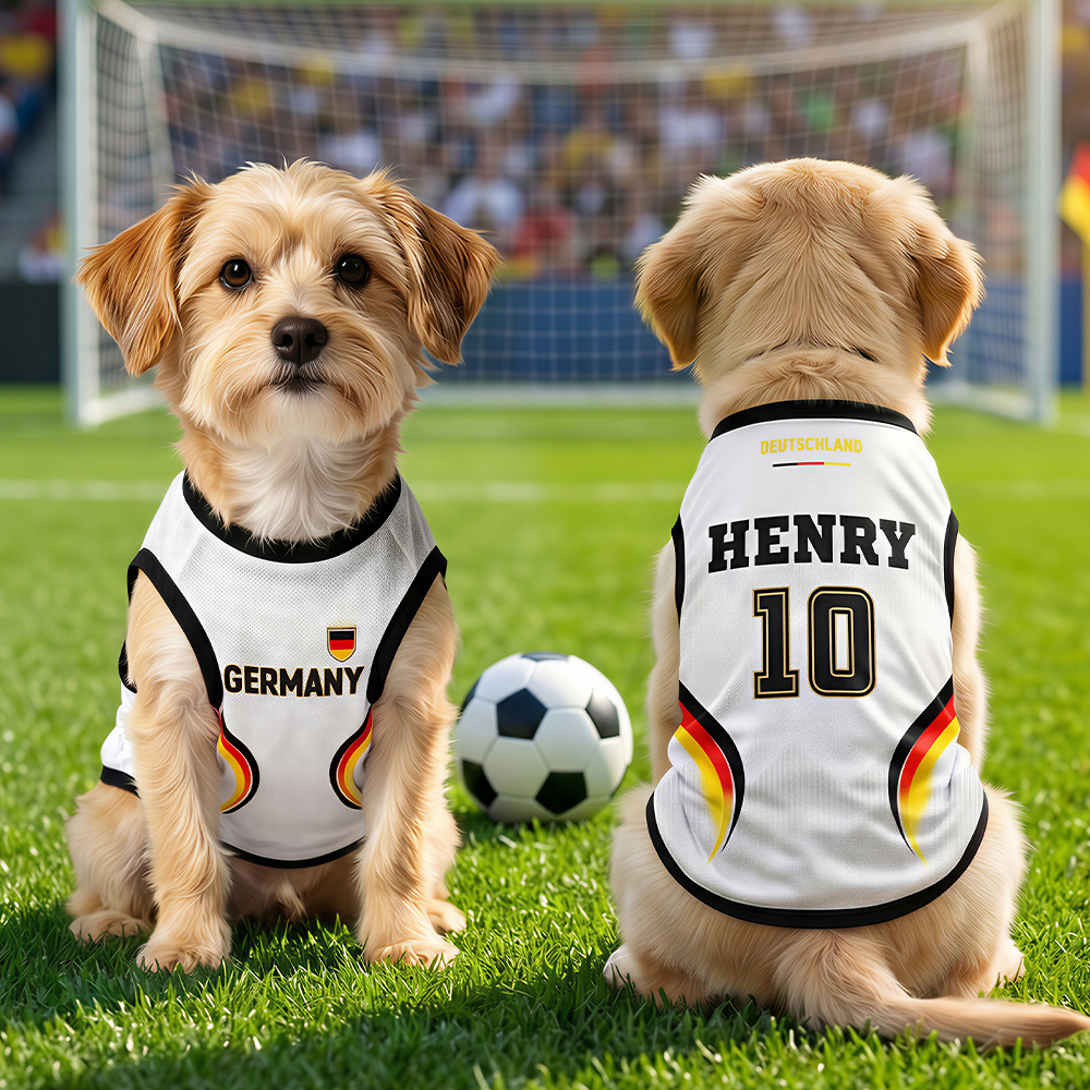 Personalized Pet Mesh Jerseys 2026 World Football National Team JerseysGift for Pet