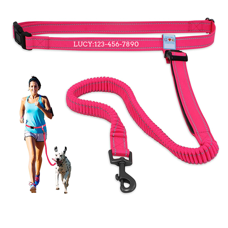 Personalized Pawtitas Handsfree Dog Leash Reflective Padded Running Belt with Dog Name