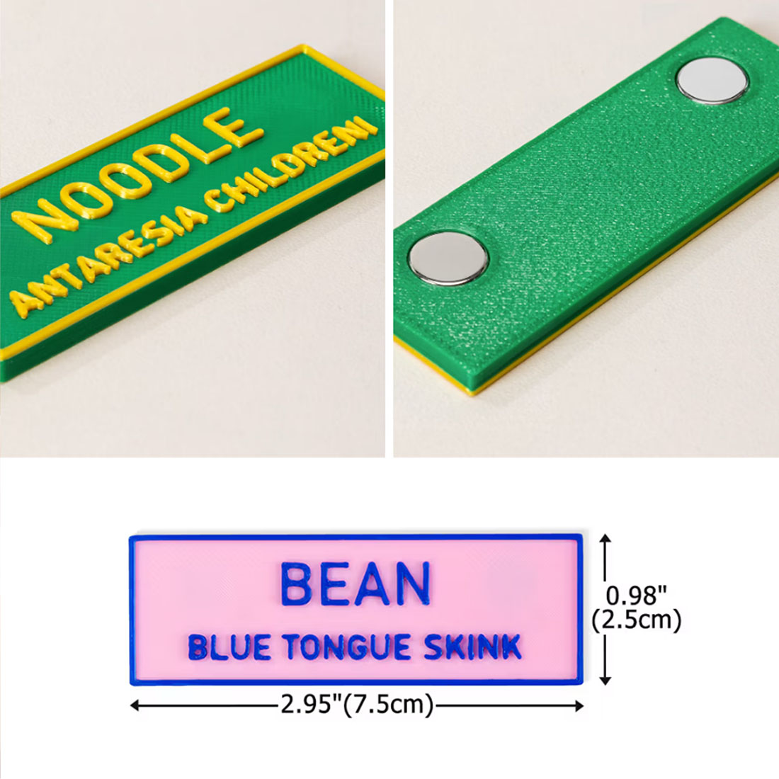 Personalized 3D-Printed Multicolor Magnetic Lizards Snakes Spiders Vivarium Name Sign