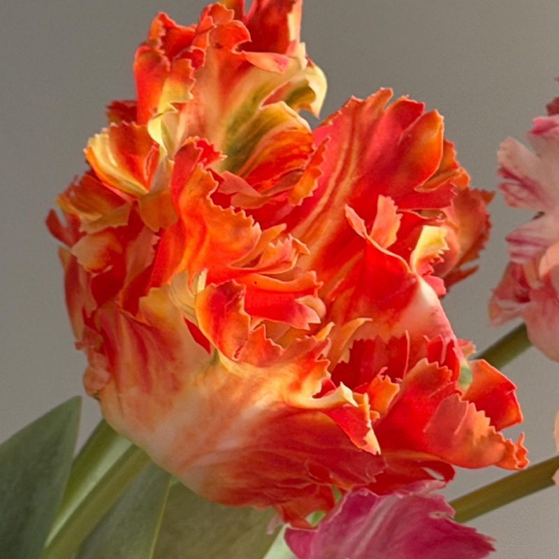 Personalized Real Touch Tulip Flowers Mother's Day Gifts Handcrafted Birth Flowers