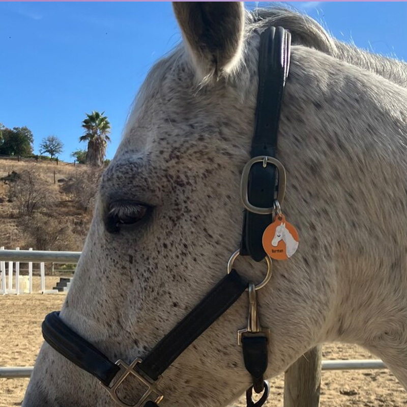 Personalized Horse Bridle ID Tag Equine Charm Aluminium Gift for Equestrain Lovers