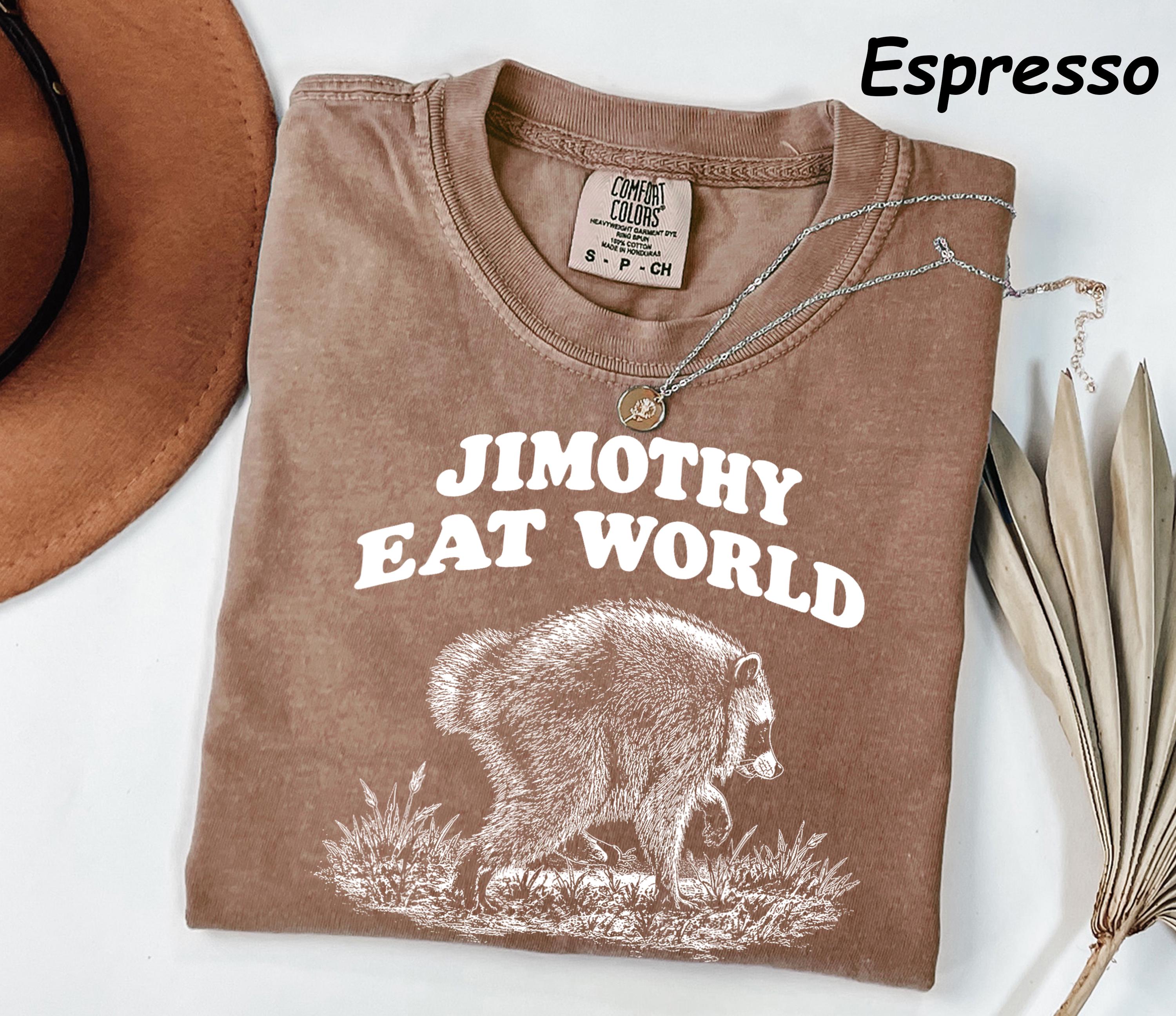 Retro Raccoon T-Shirt: In a World Full of Ordinary Be a Jimothy Graphic Tee