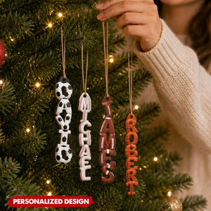 [Copy]Personalized Favorite Concert Ticket Acrylic Ornament: Music Lovers Gift, Concert Trip Keepsake