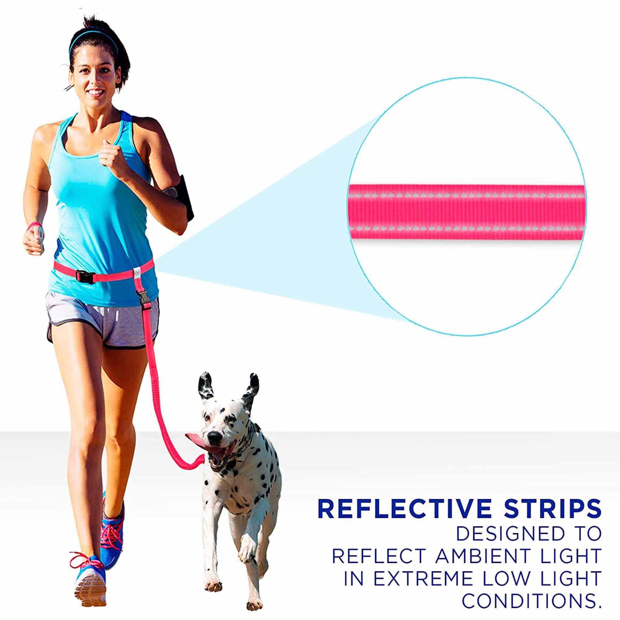 Personalized Pawtitas Handsfree Dog Leash Reflective Padded Running Belt with Dog Name