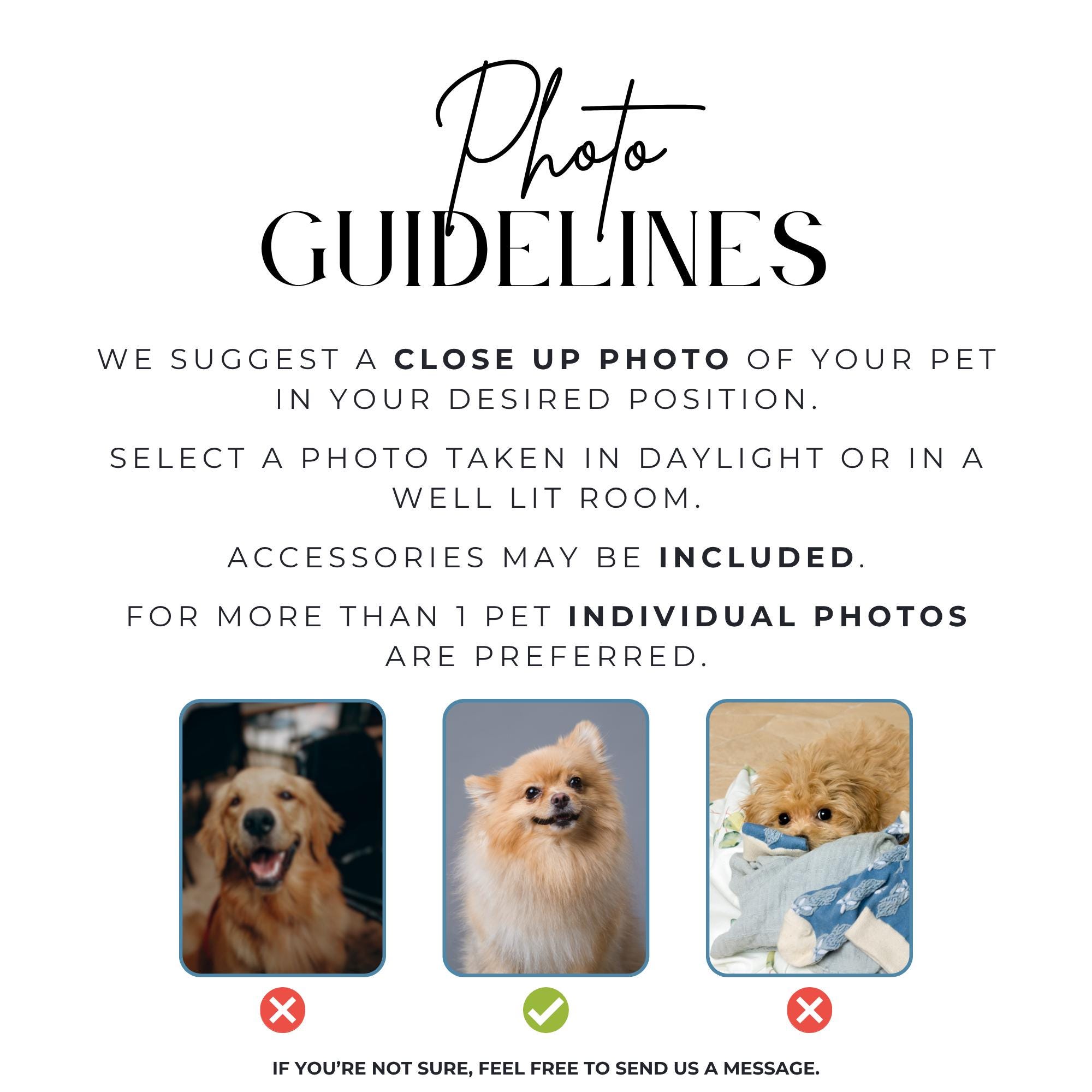 Personalized Pet Photo Dog Leash | Personalized Name Retractable Leash for Small to Medium Dogs