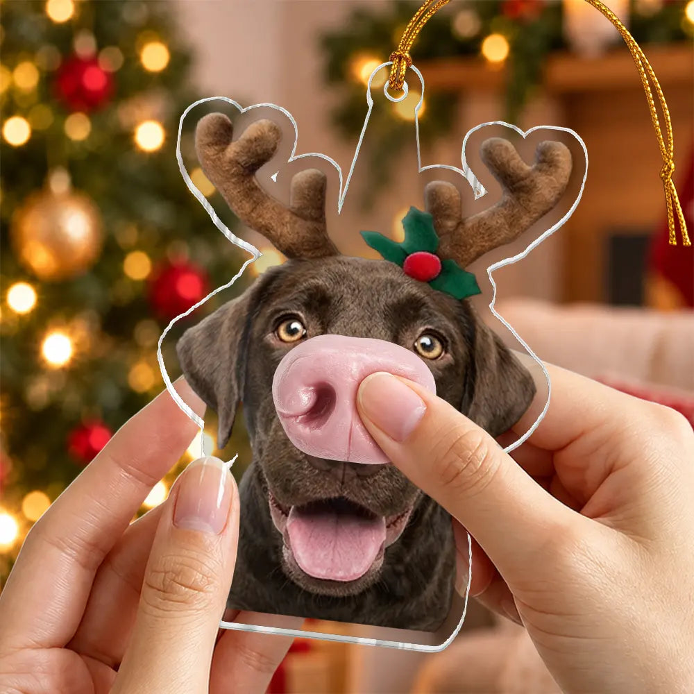 Personalized Photo Funny Dog Nose Gift For Dog Lovers - Personalized Squishy Acrylic Ornament
