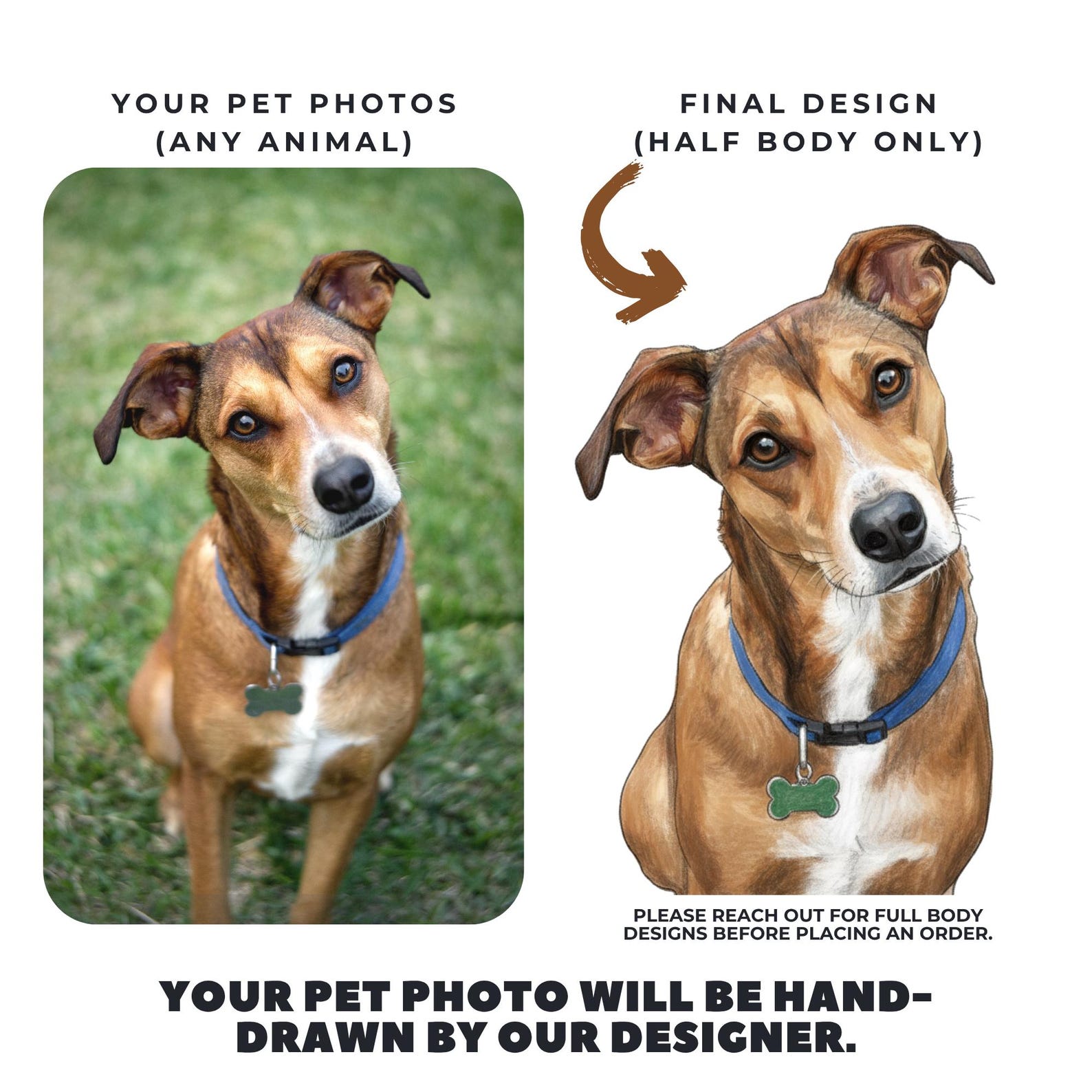 Personalized Pet Photo Dog Leash | Personalized Name Retractable Leash for Small to Medium Dogs